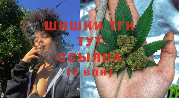 дмт Бородино