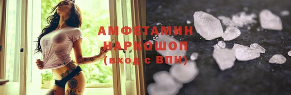 дмт Бородино