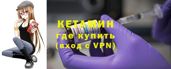 дмт Бородино