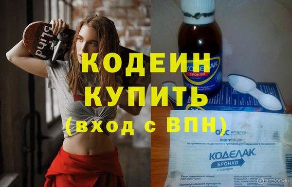 дмт Бородино
