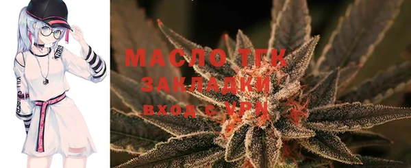 дмт Бородино