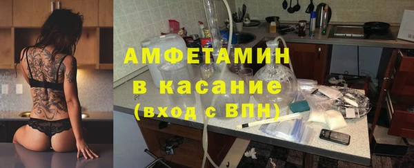 дмт Бородино